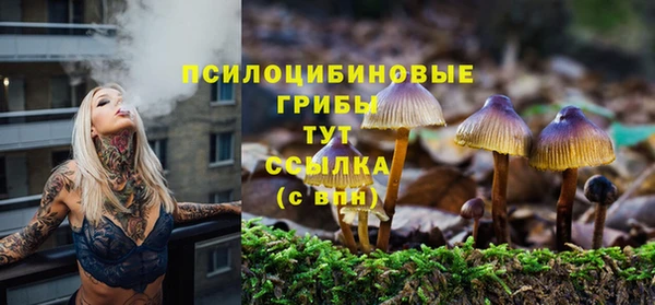 ГАЛЛЮЦИНОГЕННЫЕ ГРИБЫ Апатиты