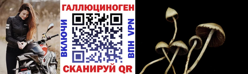 Галлюциногенные грибы ЛСД  Усолье 